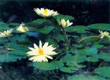  realistic Oil Painting - xsh0419b realistic from photos flowers